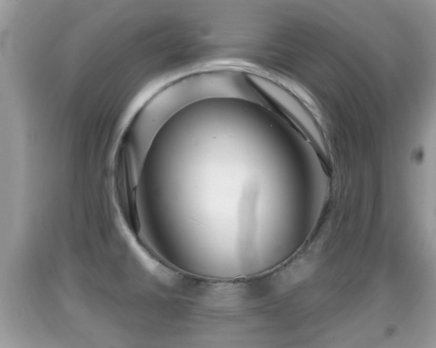 X0000091971430200709131329