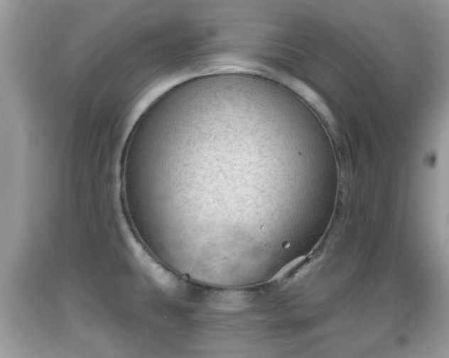 X0000091971431200709131329
