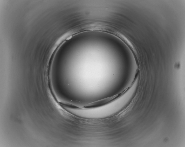 X0000091971434200709131329