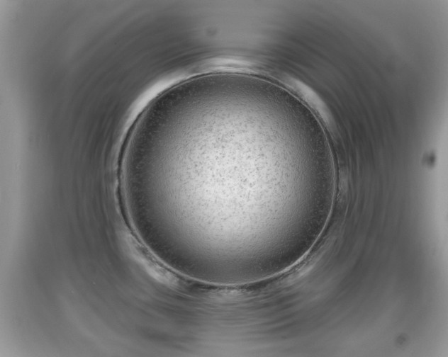 X0000091971435200709131329