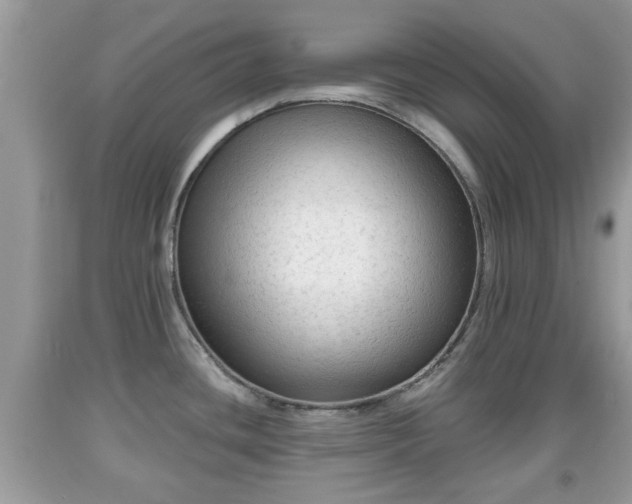 X0000091971436200709131329