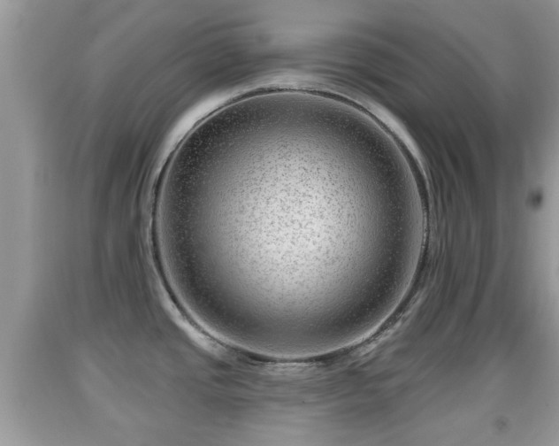 X0000091971437200709131329