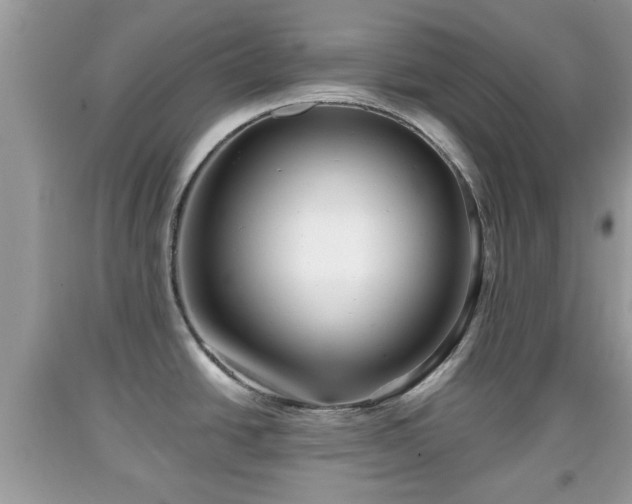 X0000091971438200709131329