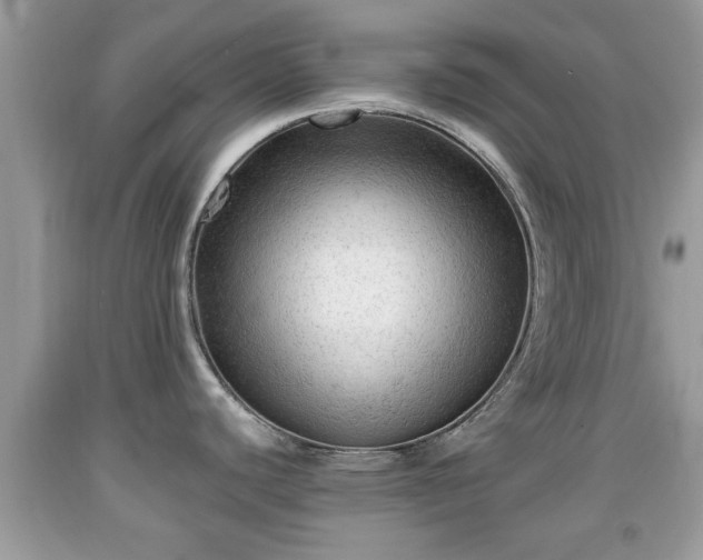 X0000091971440200709131329
