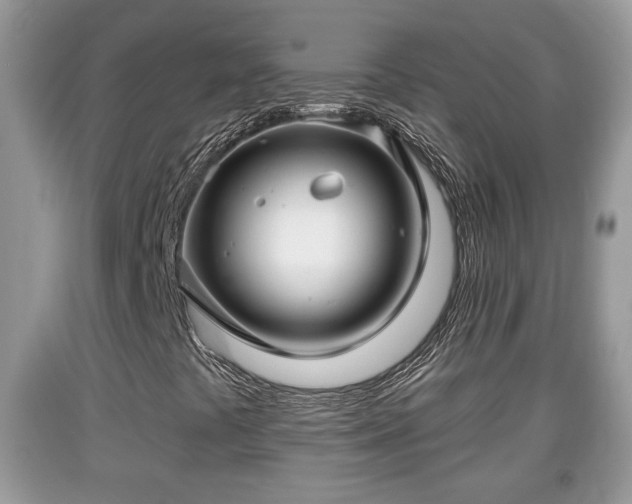 X0000091971441200709131328