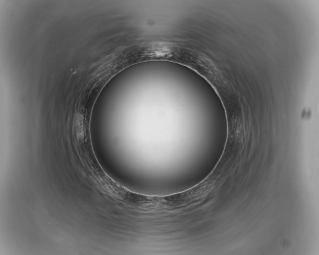 X0000091971442200709131328