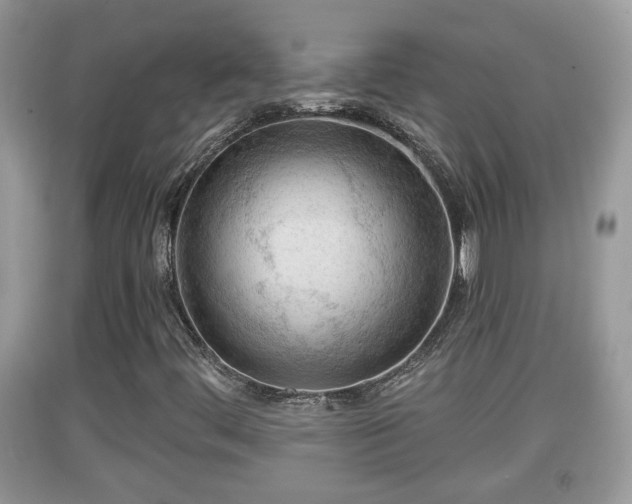 X0000091971444200709131328
