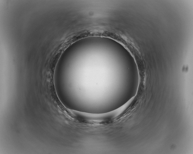 X0000091971445200709131328