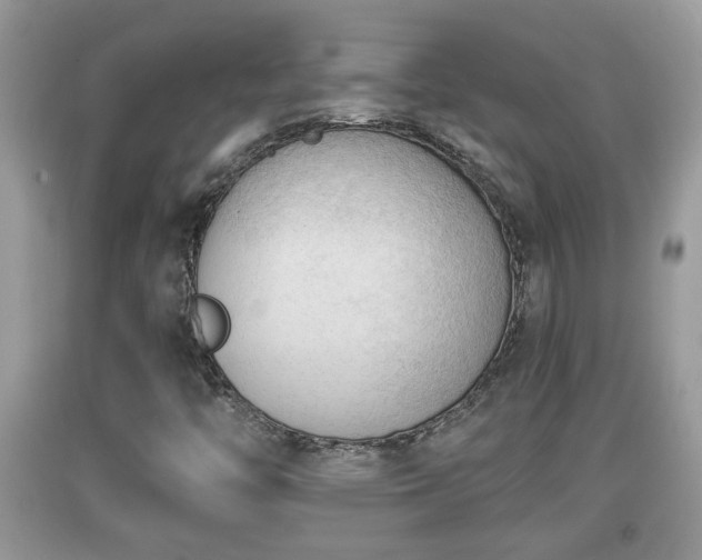 X0000091971446200709131328