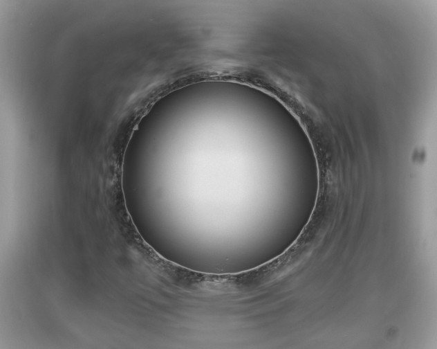 X0000091971447200709131328
