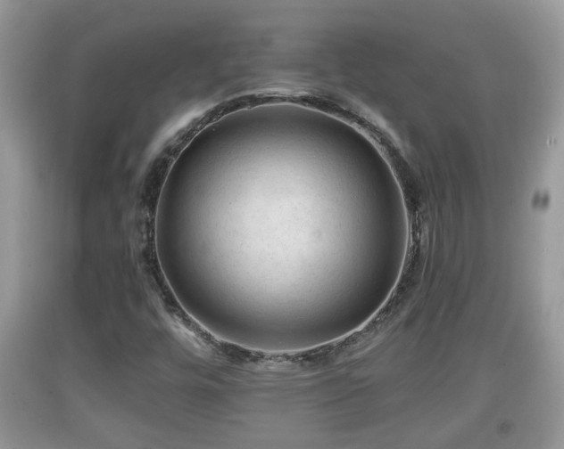 X0000091971448200709131328