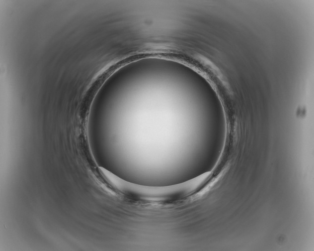 X0000091971449200709131328