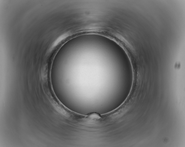 X0000091971450200709131328