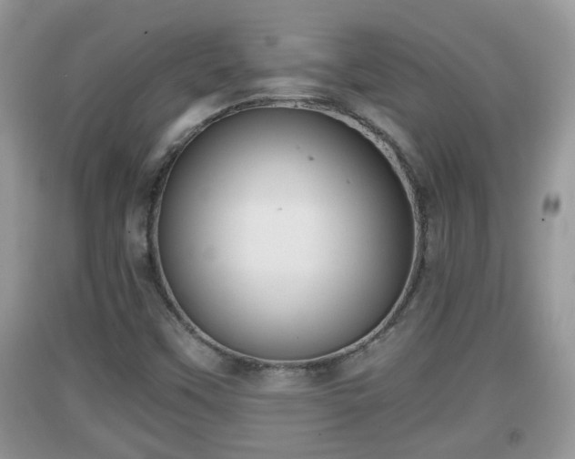 X0000091971451200709131328