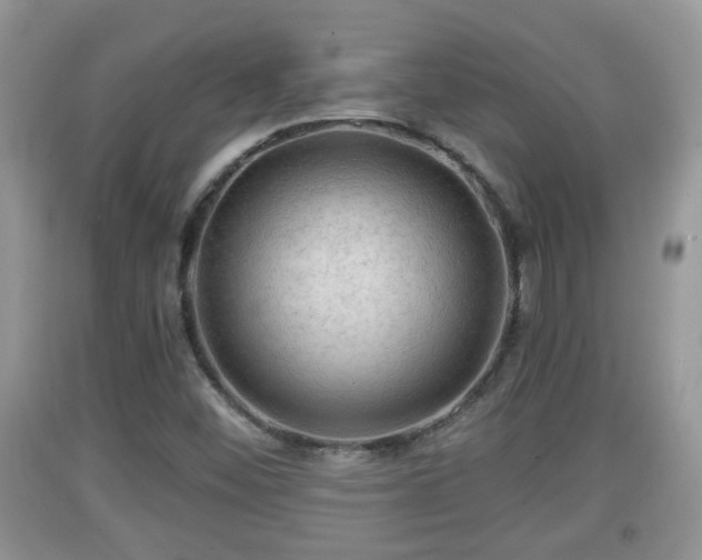 X0000091971452200709131328