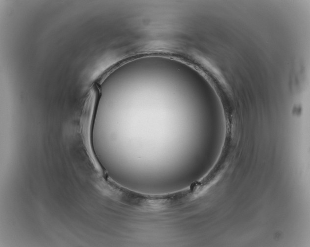 X0000091971453200709131328