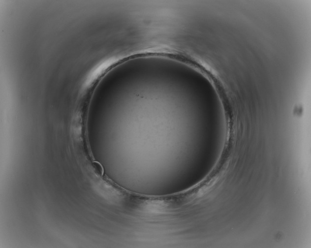 X0000091971455200709131328