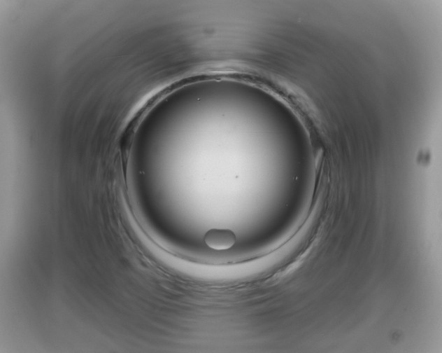 X0000091971457200709131328
