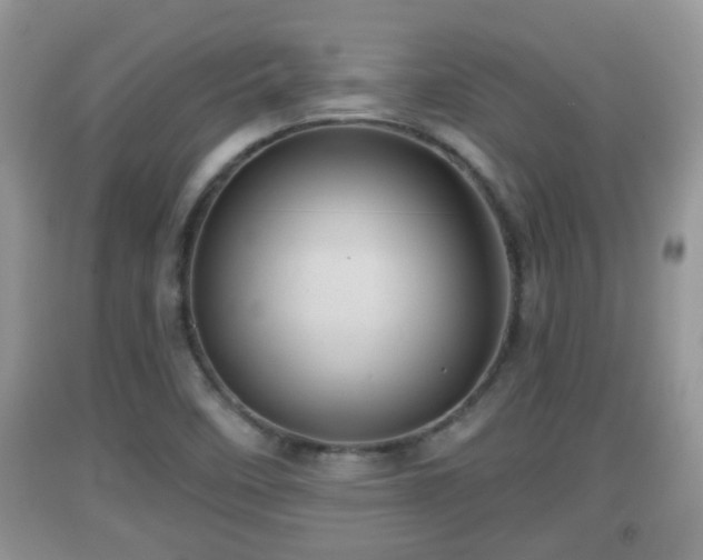 X0000091971458200709131328