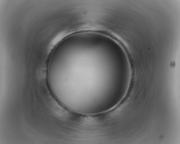X0000091971459200709131328
