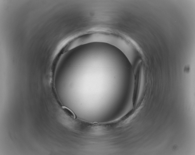 X0000091971461200709131328