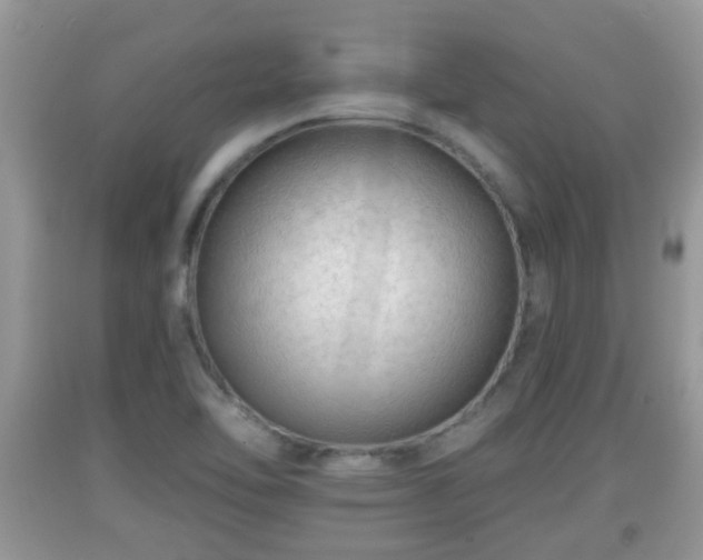 X0000091971462200709131328