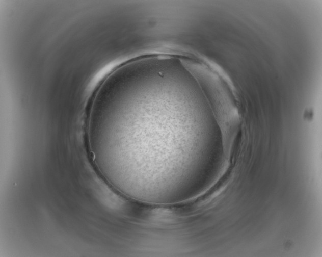X0000091971463200709131328