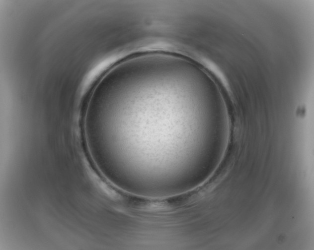 X0000091971464200709131328