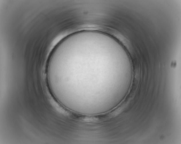 X0000091971466200709131328