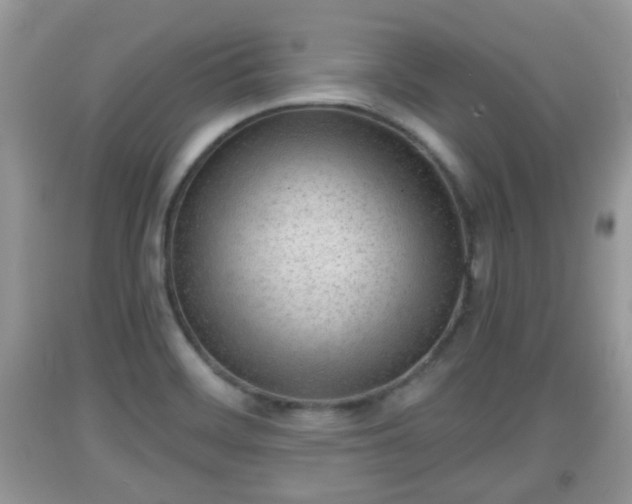 X0000091971468200709131328