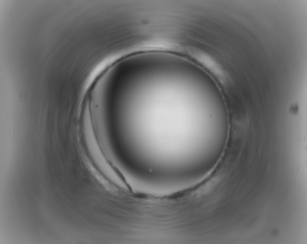 X0000091971469200709131328