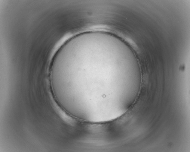 X0000091971470200709131328