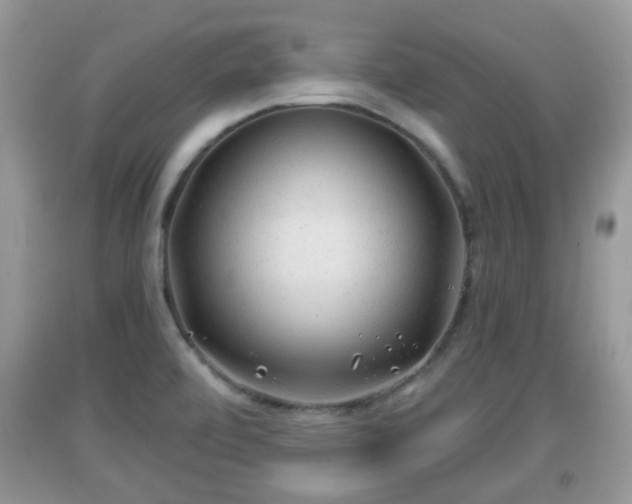 X0000091971472200709131328