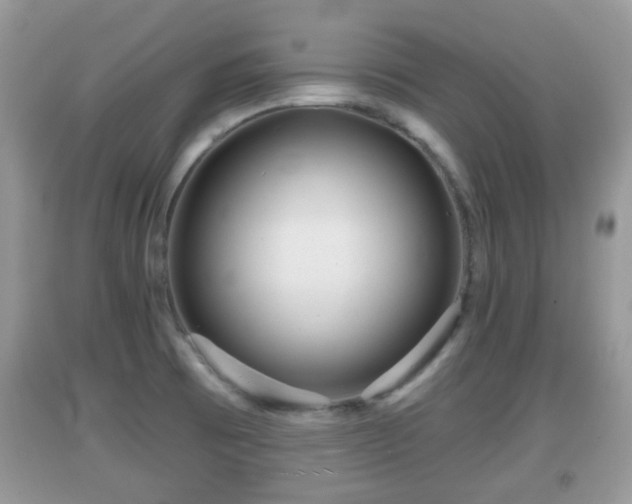 X0000091971473200709131328