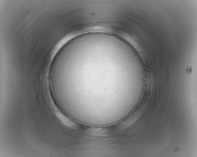 X0000091971474200709131328