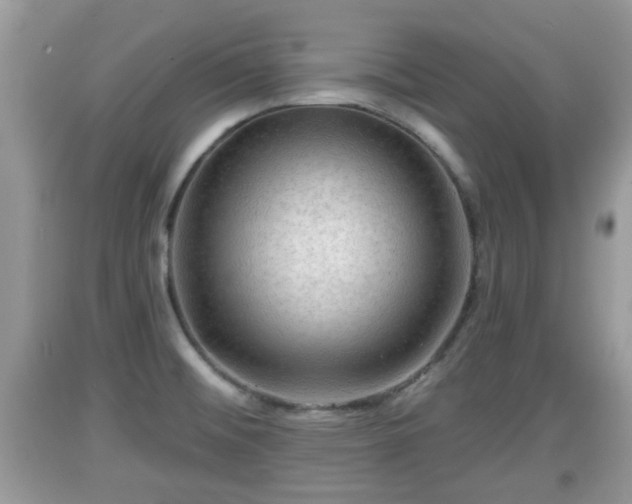 X0000091971476200709131328