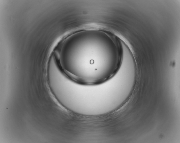 X0000091971477200709131328