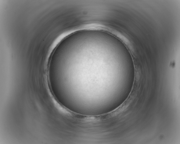 X0000091971478200709131327