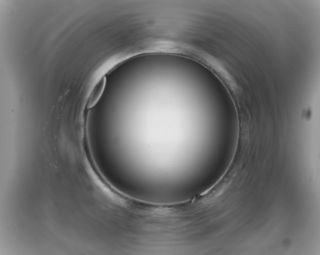 X0000091971479200709131327