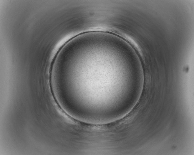 X0000091971480200709131327