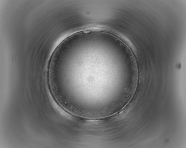 X0000091971483200709131327
