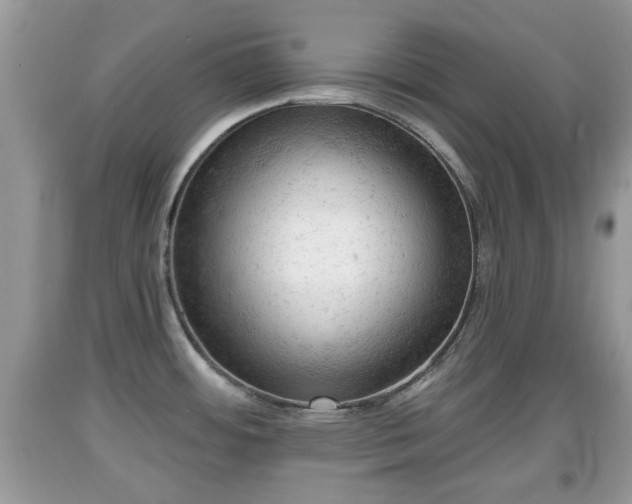 X0000091971484200709131327