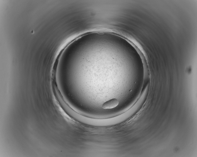 X0000091971485200709131327
