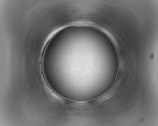 X0000091971486200709131327