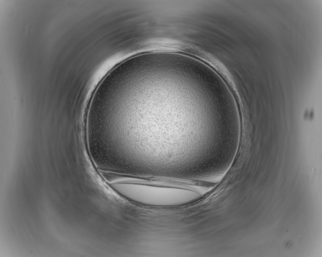 X0000091971488200709131327