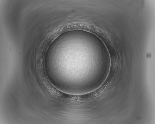 X0000091971489200709131327