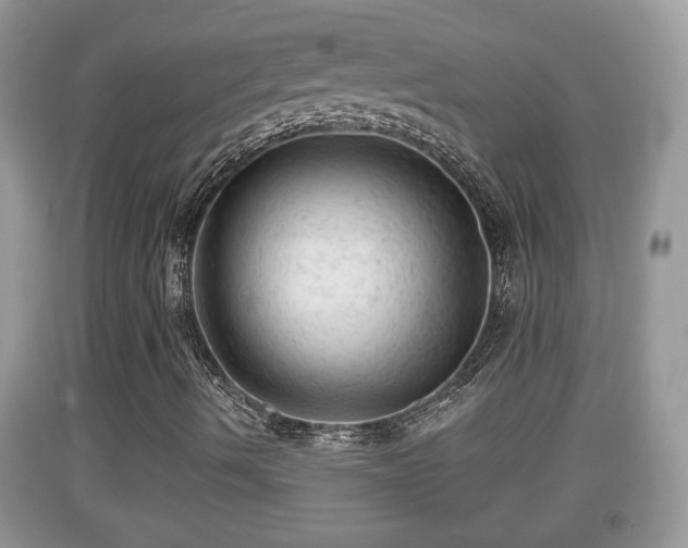 X0000091971490200709131327