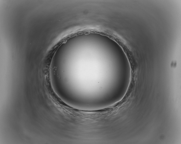 X0000091971496200709131327