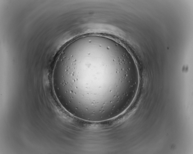 X0000091971497200709131327