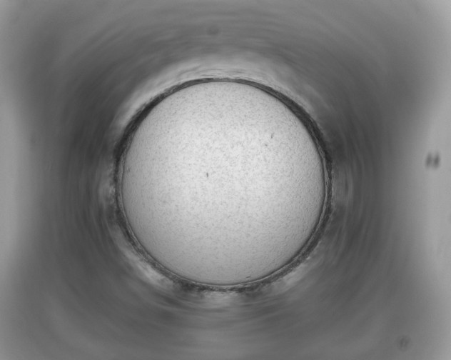 X0000091971498200709131327